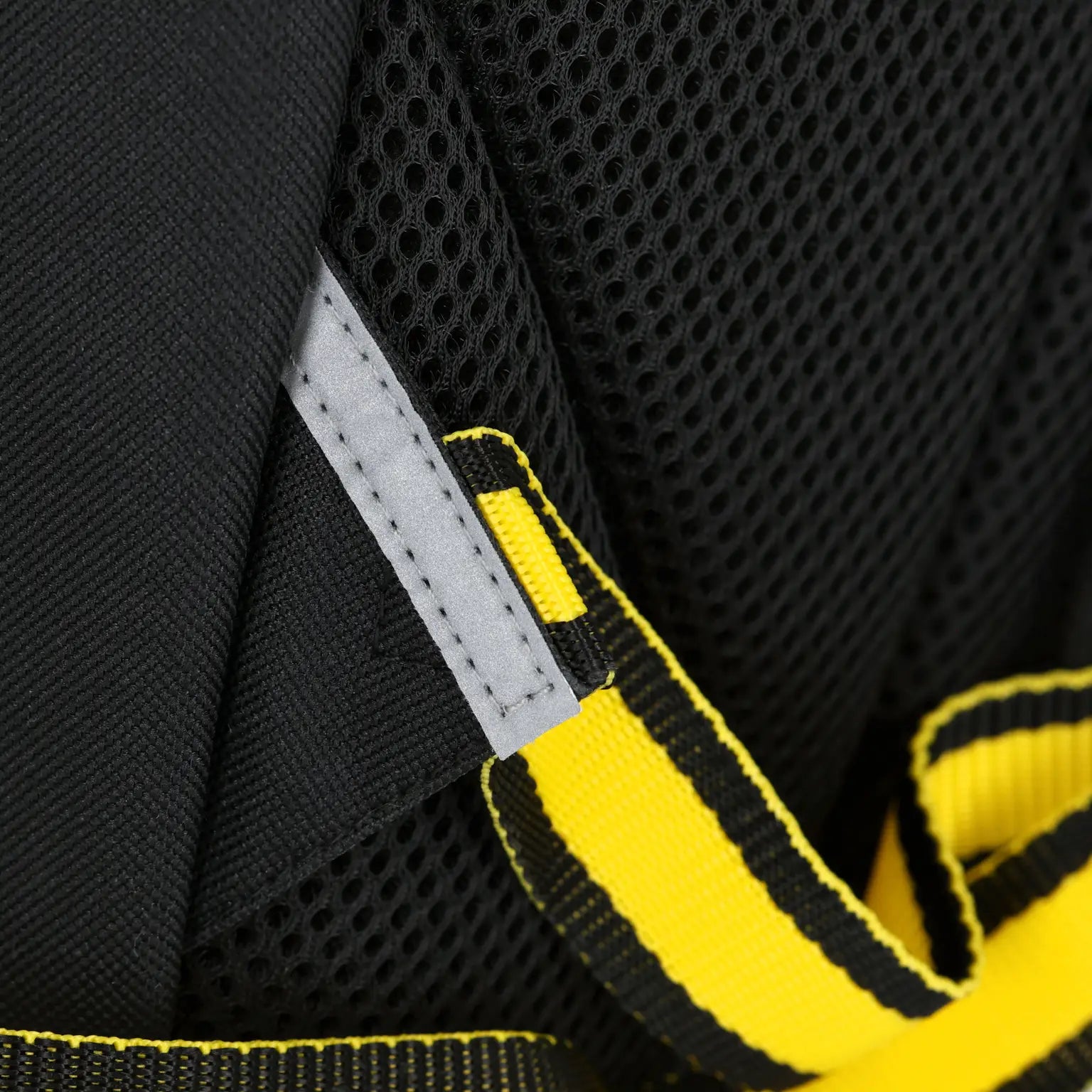 BVB Rucksack 2026