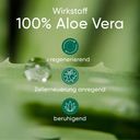 APRICOT Brustwarzen Pads mit Aloe Vera