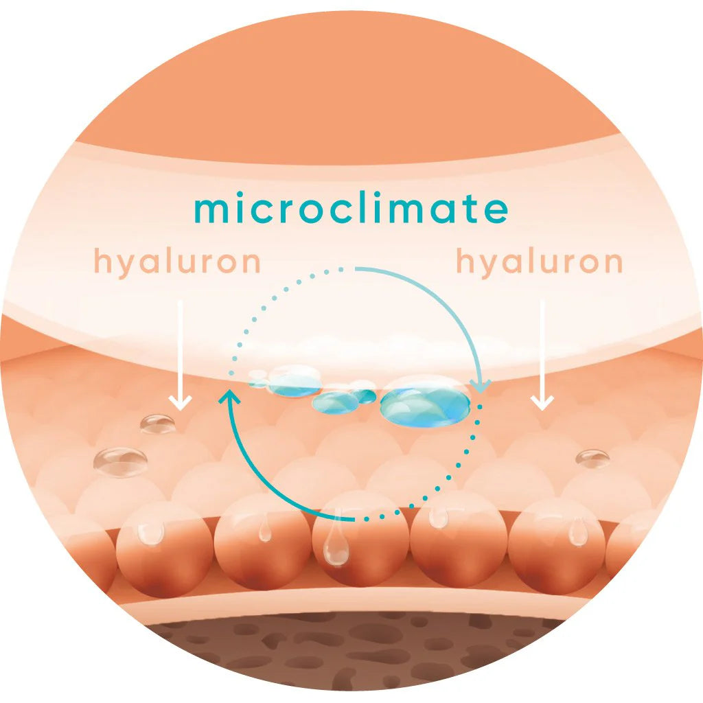 APRICOT I Hals Pads "it's neck or nothing" mit Hyaluron I 30 Behandlungen