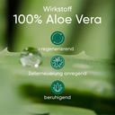 APRICOT Narben Pads mit Aloe Vera