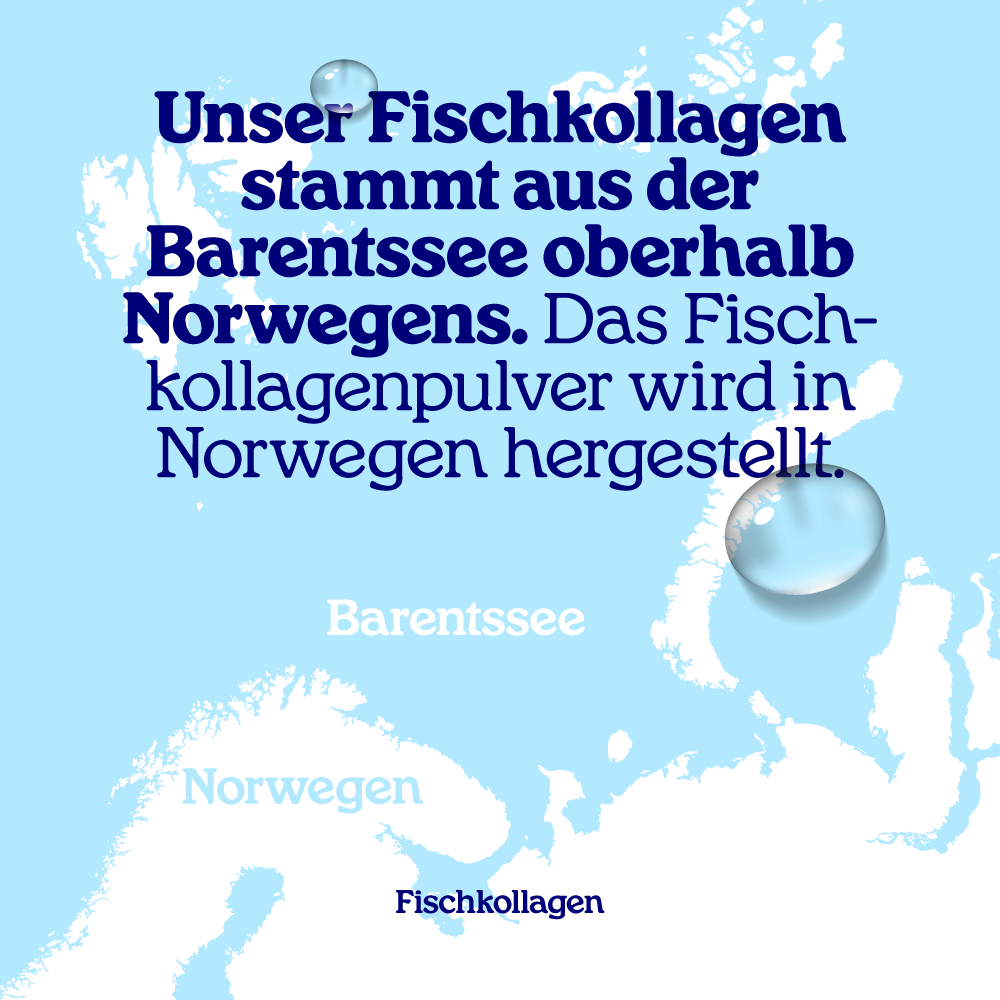 Natürliches Fisch-Kollagenpulver – MSC (150 g) - Erhältlich ab 15.6.26