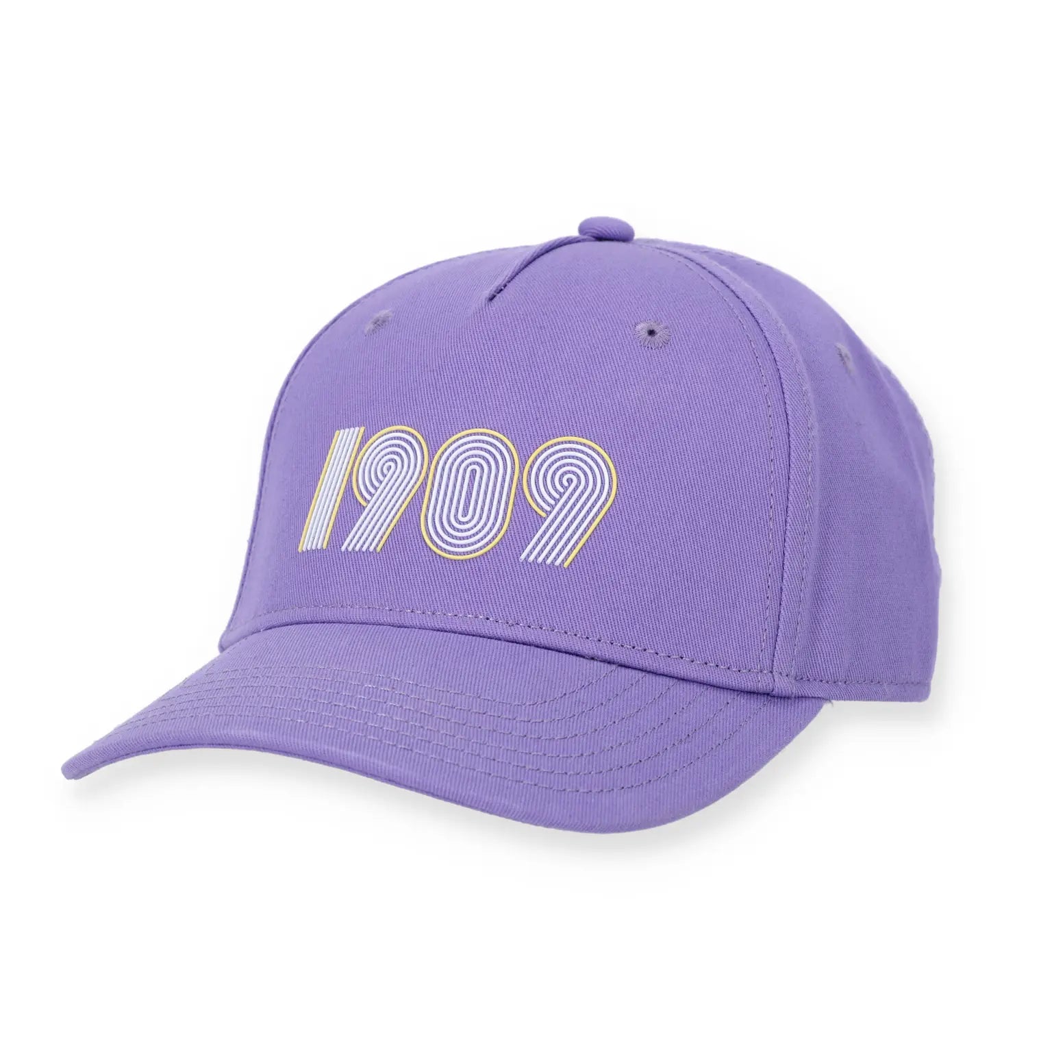 BVB Cap 1909 lila