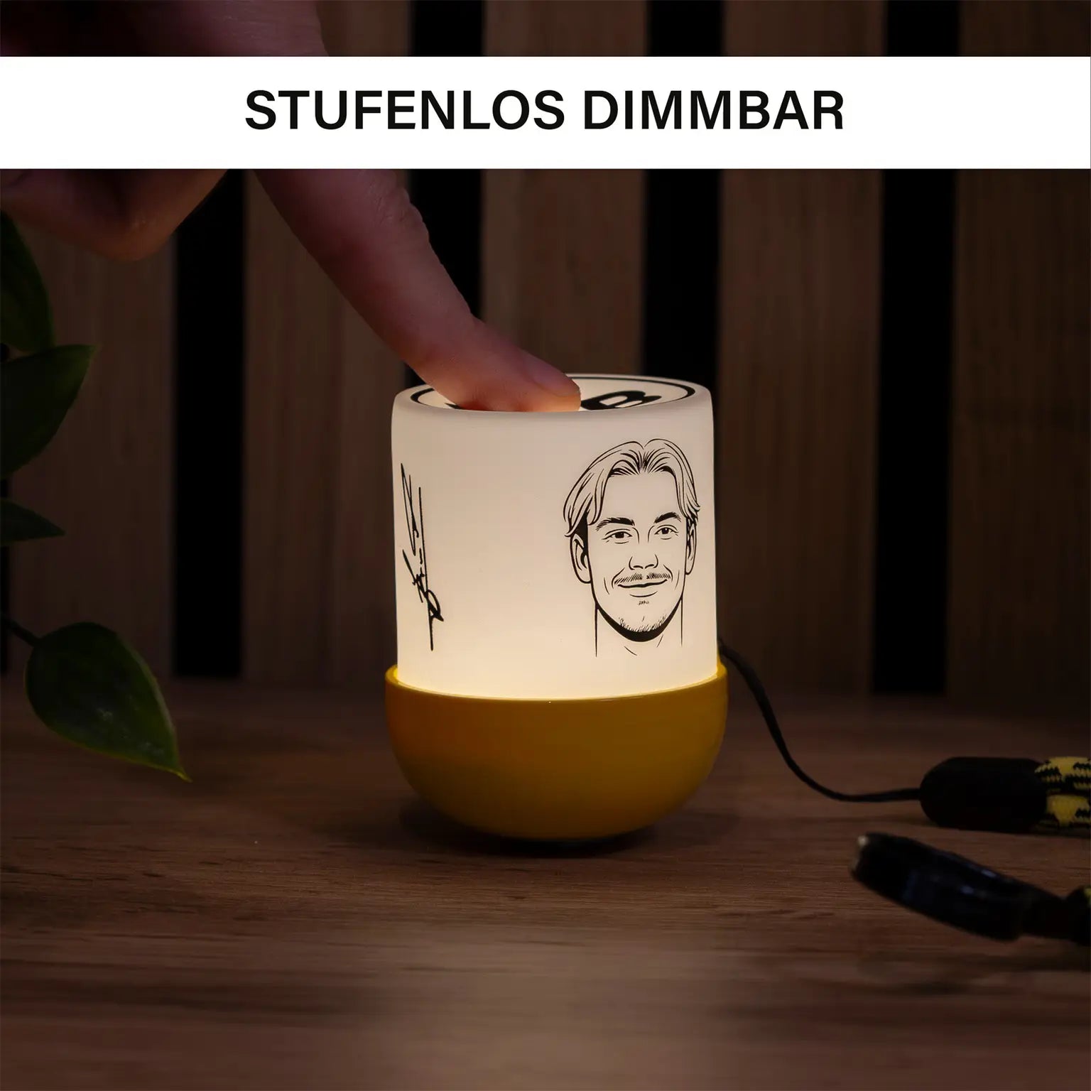 BVB Mystery Light Eggy and Friends