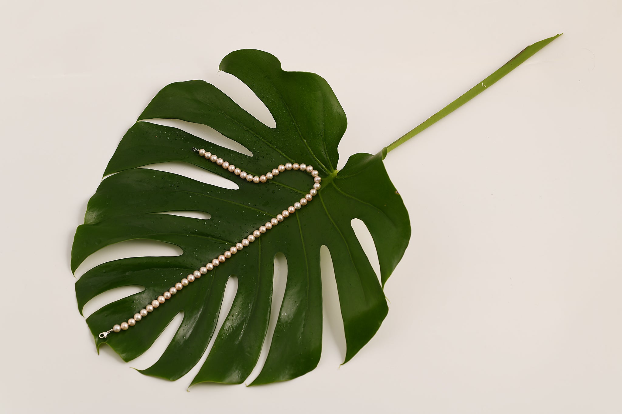 Collier de perles d'eau douce saumon 