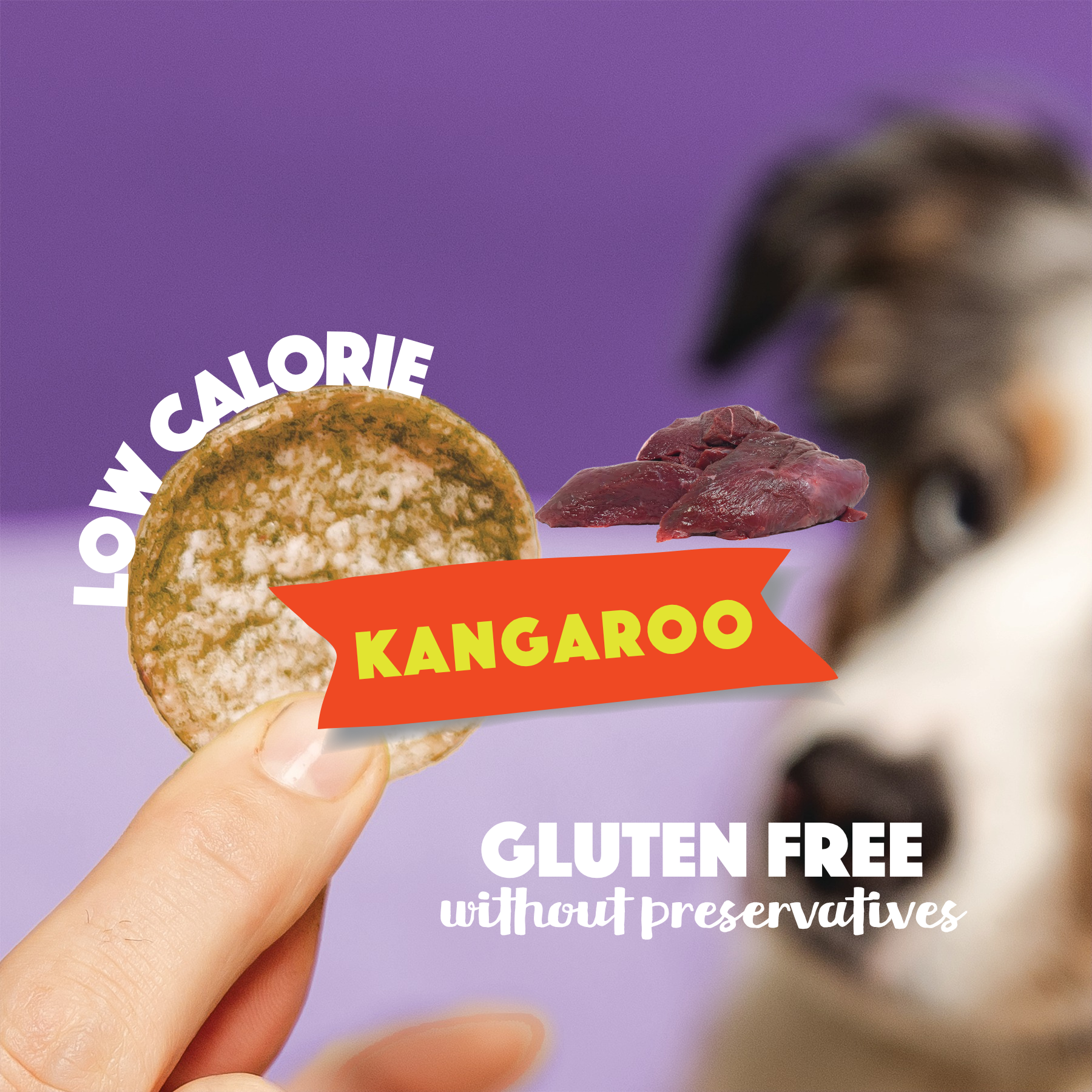 Känguru-Hundechips -Erhältlich ab 20.6.26